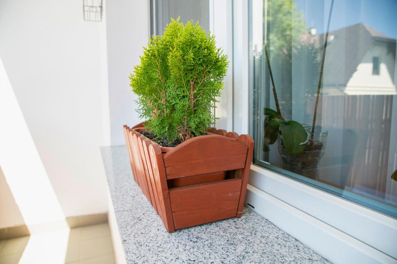 Best Apartment Tarnów Dış mekan fotoğraf